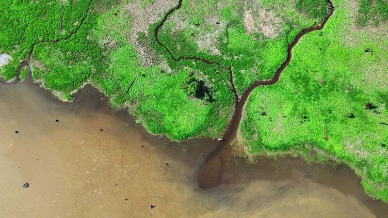 Vista aérea de humedal y curso de agua en la Provincia de Buenos Aires